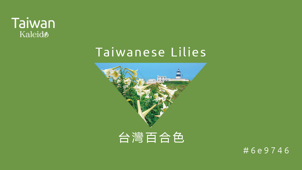 本週精選：台灣百合色 Taiwanese Lilies #6e9746